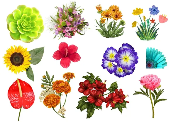 Flower_Theme_Stickers