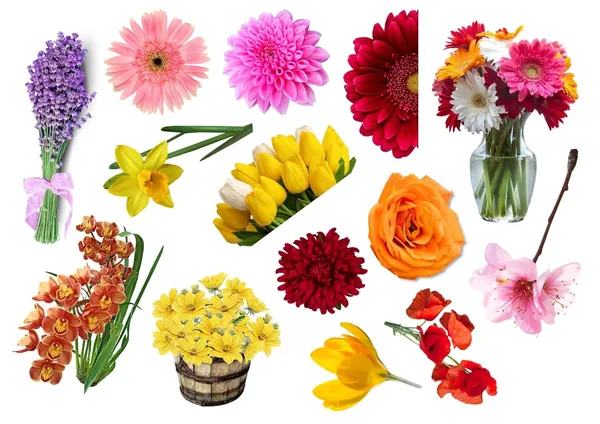 Flower_Theme_Stickers