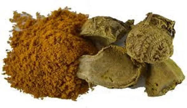 Unknown_-_Amba_Haldi/_Ambahaldi/_Mango_Ginger/_Mamodi_Alam/_Amada/_Safed_Haldar/_Ambarasin/_Mangainji/_Mango_Turmeric_/_आंबिहळद_–_100G