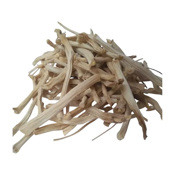 Unknown_-_Shatavari_White/_Shatavri/_Indian_Aspragus/_Satavar/_Shatamuli_–_100G