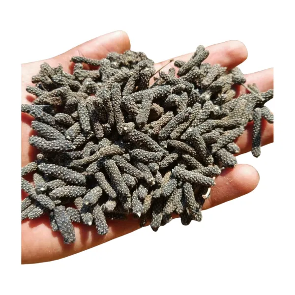 Unknown_-_Pan_Pimpali/_Long_Pepper/_Pipar/_Filfil_Daraz/_Pipli/_Choti_Pipali_–_100G
