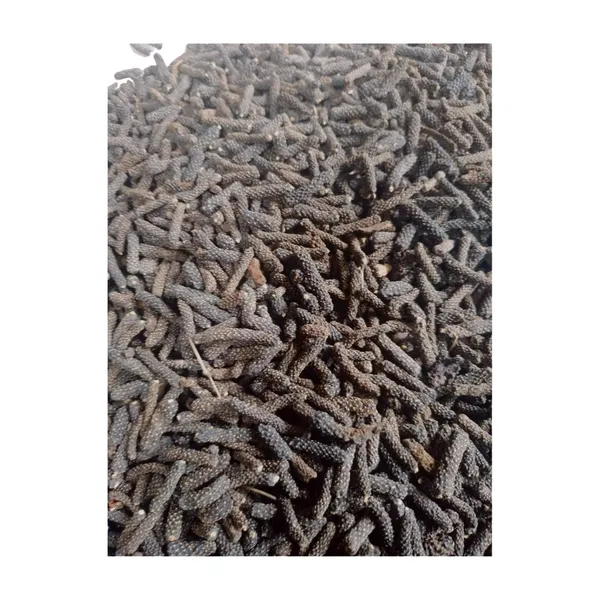 Unknown_-_Pan_Pimpali/_Long_Pepper/_Pipar/_Filfil_Daraz/_Pipli/_Choti_Pipali_–_100G