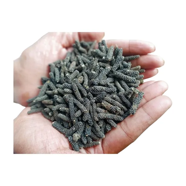 Unknown_-_Pan_Pimpali/_Long_Pepper/_Pipar/_Filfil_Daraz/_Pipli/_Choti_Pipali_–_100G