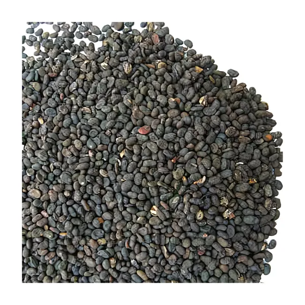 Vinarghya_Bavanchi/_Psoralia_Seed/_Lalakasturi/_Sugandha-Kantak/_Babchi/_Habuch/_Bavachi/_Bavanchalu/_Bakuchi,_400_Gram