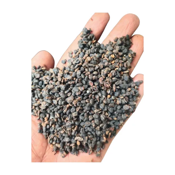 Vinarghya_Bavanchi/_Psoralia_Seed/_Lalakasturi/_Sugandha-Kantak/_Babchi/_Habuch/_Bavachi/_Bavanchalu/_Bakuchi,_400_Gram
