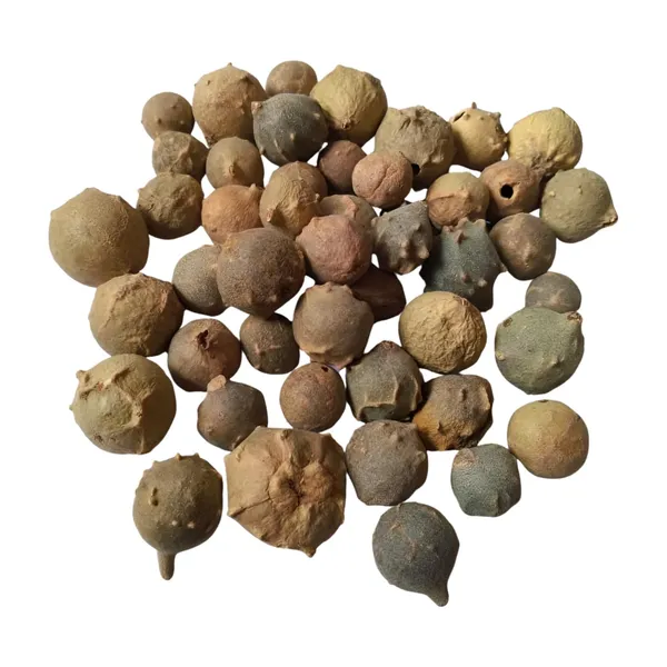 Vinarghya_–_Majuphal/_Manjuphal/_Majufal/_Mazu/_Quercus_Infectoria/_Mayaphala/_माजुफळ_–_100G