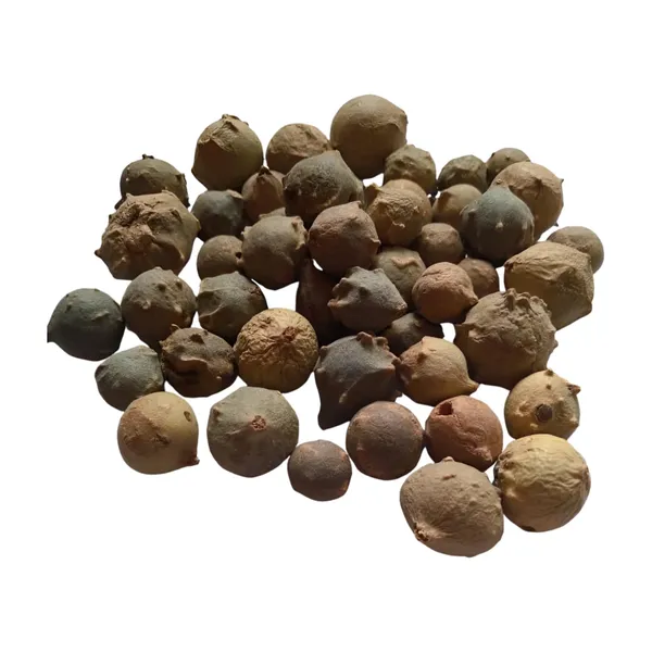 Vinarghya_–_Majuphal/_Manjuphal/_Majufal/_Mazu/_Quercus_Infectoria/_Mayaphala/_माजुफळ_–_100G