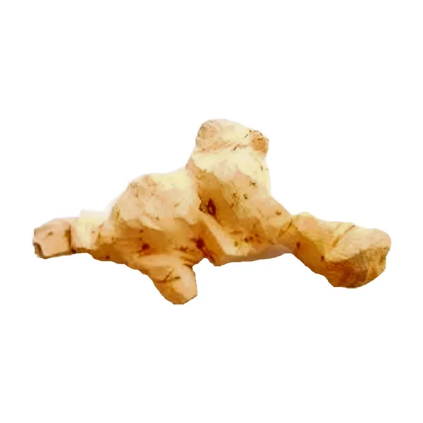 Vinarghya_-_Chopchini/_Madhusnuhi/_China_Root/_Bamboo_Bariar_Root/_Kashussini/_Gooti_-_100G
