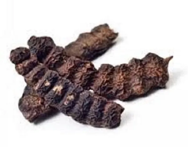 Vinarghya_Shikakai_For_Hair_Shikekai_Acacia_Cancinna_Soap_Pod_Kochi_Cheeyakai_Shikai_Sheegai_Vimala_Amsikira_200G
