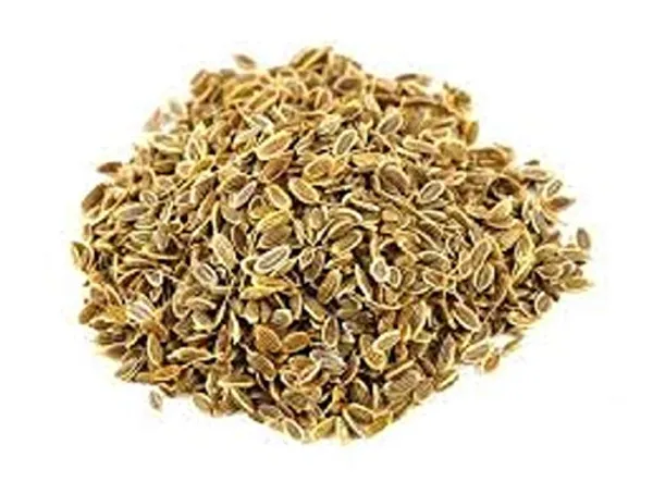 Vinarghya_–_Shepu_Seed/_Soyo/_Dill/_Sadapa_Vittulu/_Suva/_Mhashishop/_Satakuppi/_Saluka/_Shibith/_Shatapushpa_/_शेपू_-250G