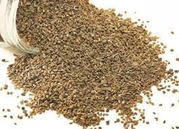 Vinarghya_Alisun_Aleesun_Alisan_एलिसन_50G