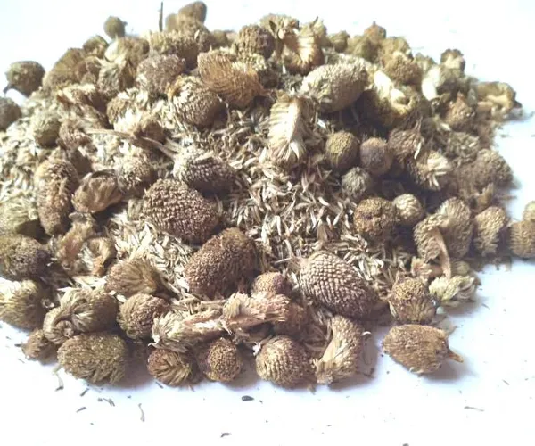 Vinarghya_-_Akkalkada/_Pyrethrum/_Akkalkara/_Akallaka/_Kulekhara/_Akarakara/_Akkalkaro/_Akkalgaro/_Akravu/_Aquaraqarha_-_100G