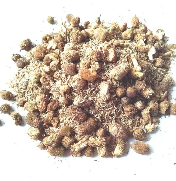 Vinarghya_-_Akkalkada/_Pyrethrum/_Akkalkara/_Akallaka/_Kulekhara/_Akarakara/_Akkalkaro/_Akkalgaro/_Akravu/_Aquaraqarha_-_100G