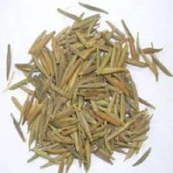 Vinarghya_-_Indrajao/_Indrajou/_Indrajava/_Dudhalo/_Tiraj/_Kuda/_Wrightia_Tinctoria_-_100G
