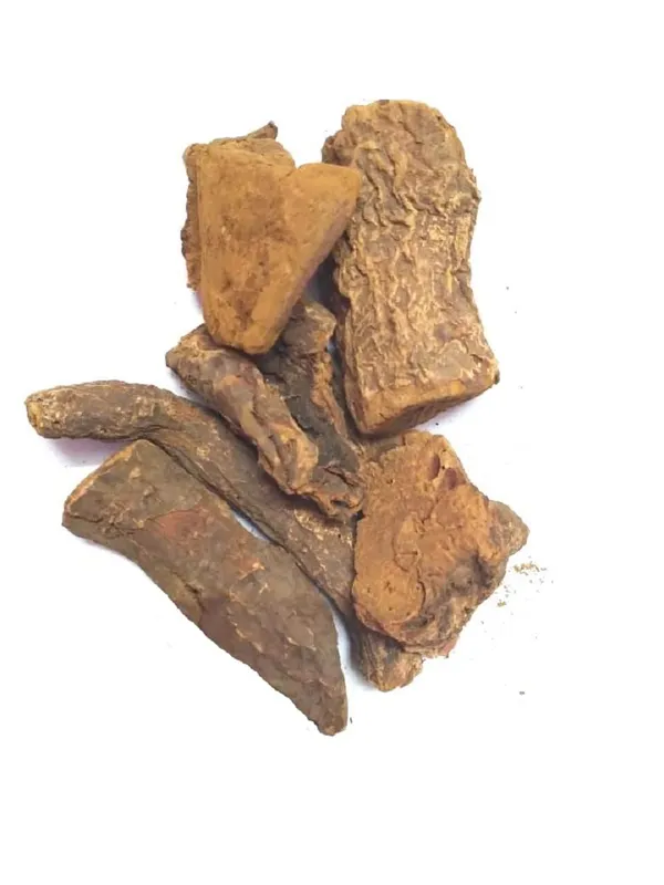 Vinarghya_Revchini_Revanchini_Revand_Chini_Indian_Rhubarb_Rawash_Rheumemodi_Nettureval_Chini_Nethurewal_Chini_रेवंचिनी_100G