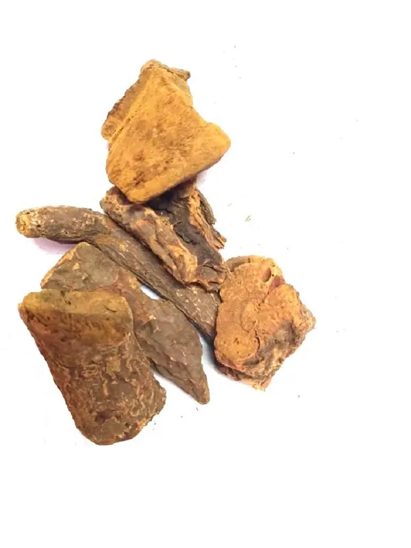 Vinarghya_Revchini_Revanchini_Revand_Chini_Indian_Rhubarb_Rawash_Rheumemodi_Nettureval_Chini_Nethurewal_Chini_रेवंचिनी_100G