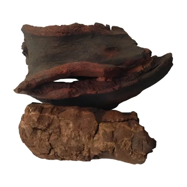 Vinarghya_–_Kaifal/_Organic_Kaiphal/_Box_Myrtale/_Katfal/_Karyachal/_Echalad/_Gaddad/_Pilam/_Aalam/_Udlubark/_Kirushivani_Eppemara_–_100G