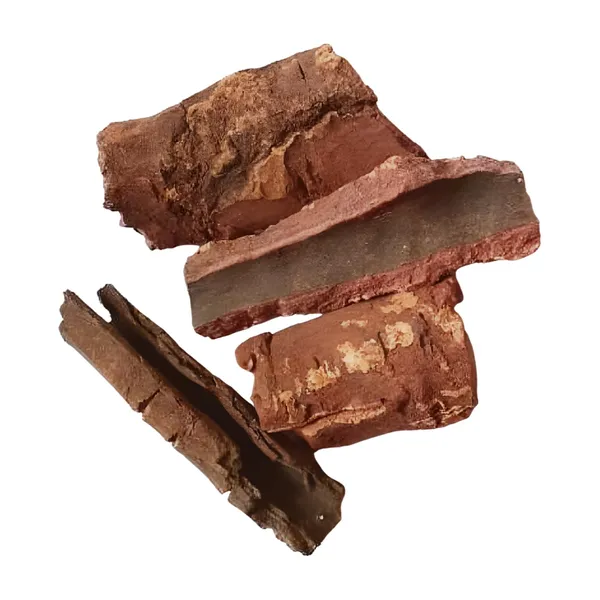 Vinarghya_–_Kaifal/_Organic_Kaiphal/_Box_Myrtale/_Katfal/_Karyachal/_Echalad/_Gaddad/_Pilam/_Aalam/_Udlubark/_Kirushivani_Eppemara_–_100G