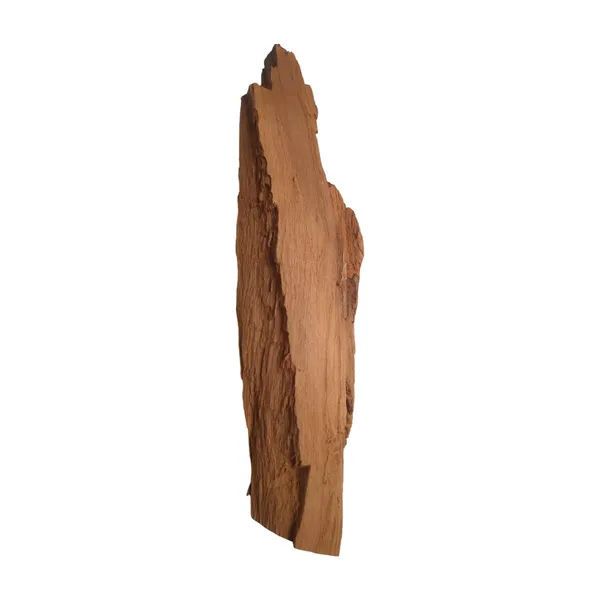 Vinarghya_Gavagar_Gawagar_Guvagar_Guwagar_गवागर_100G