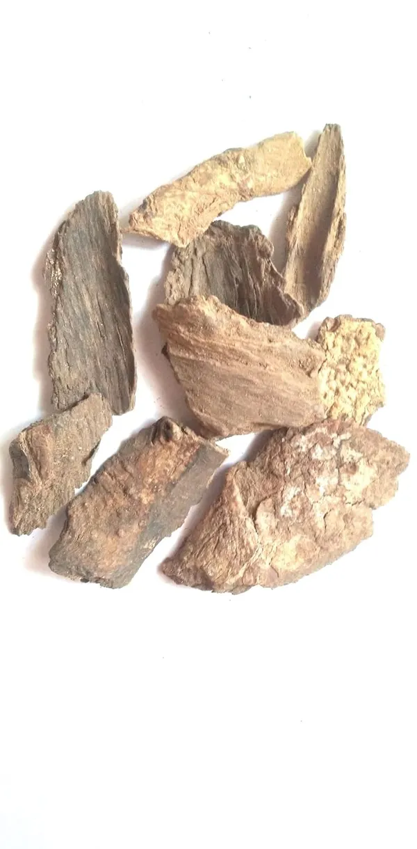 Swasti21_–_Maida_Lakadi_Organic/_Chandana/_Lakkdi/_Narralgi/_Tangia_China/_Ama/_Elambiragi/_Kanugu_Nalike/_Medda_Nara/_Litsea_Glutinosa/_Common_Tallow_Laurel/_Maeda_Lakari_/_मैदा_लकडी_–_100G