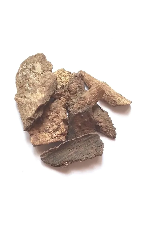 Swasti21_–_Maida_Lakadi_Organic/_Chandana/_Lakkdi/_Narralgi/_Tangia_China/_Ama/_Elambiragi/_Kanugu_Nalike/_Medda_Nara/_Litsea_Glutinosa/_Common_Tallow_Laurel/_Maeda_Lakari_/_मैदा_लकडी_–_100G