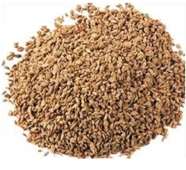 Vinarghya_–_Ajamoda/_Apium_Graveolens/_Ajmoda/_Ajmuda/_Randhuni/_Banyamani/_Oma/_Omakki/_Omam/_Bodi_Ajamo/_Naranji_Vamu/_Banajuani/_अजमोदा_–_100G