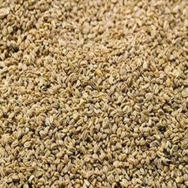 Vinarghya_–_Ajamoda/_Apium_Graveolens/_Ajmoda/_Ajmuda/_Randhuni/_Banyamani/_Oma/_Omakki/_Omam/_Bodi_Ajamo/_Naranji_Vamu/_Banajuani/_अजमोदा_–_100G