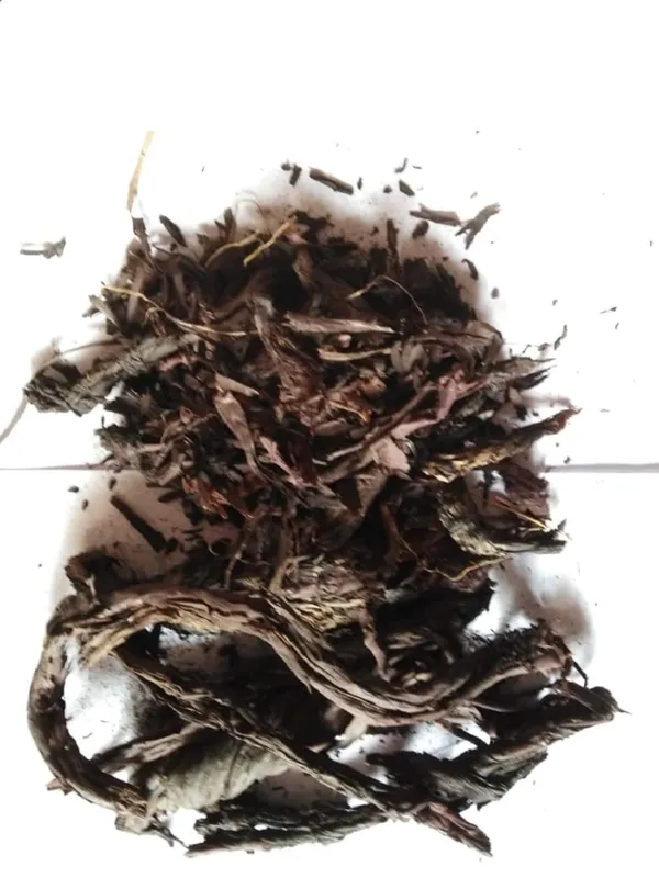 Ratanjot_/_Laljadi_/_Damini_Balchad_/_Onosma_/_Orchanet_/_Alkanna_Tinctoria_/_रतनजोत_-_100_Gram