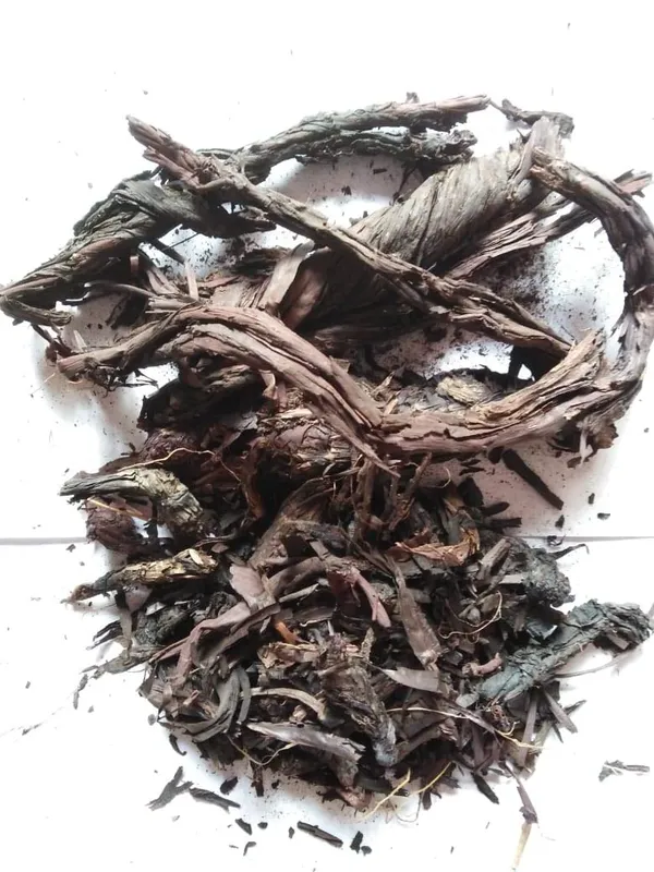 Ratanjot_/_Laljadi_/_Damini_Balchad_/_Onosma_/_Orchanet_/_Alkanna_Tinctoria_/_रतनजोत_-_100_Gram