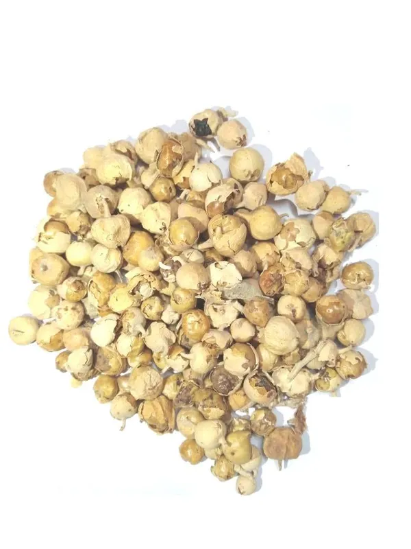 Swasti28_-_Paneer_Phal/_Panir_Phal_Fal/_Paneer_Doda/_Paneer_Phul/_Withania_Coagulans/_Indian_Rennet/_पनीर_फल_–_100G