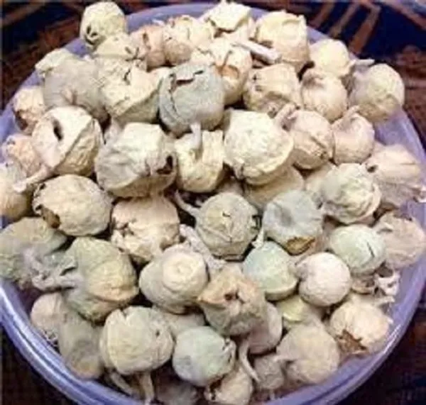 Swasti28_-_Paneer_Phal/_Panir_Phal_Fal/_Paneer_Doda/_Paneer_Phul/_Withania_Coagulans/_Indian_Rennet/_पनीर_फल_–_100G