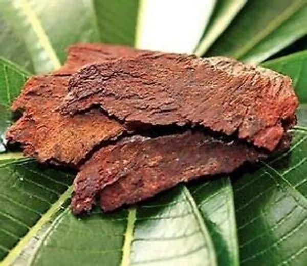 Swasti24_-_Arjun_Chhal/_Terminalia_Arjuna/_Arjun_Bark/_Neermaruthu/_Thella_Maddi/_Kumbuk/_Murudha_Maram/_Neer_Maruthu/_Koha_-_100G