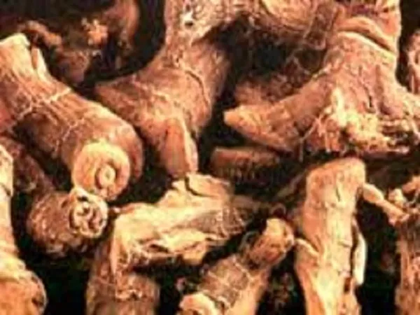Safal30_-_Lakadi_Kolanjan/_Kulanjan/_Rasmi/_Sugandha_Vachi/_Araatta/_Perasatta/_Koshikulinjan/_Kathi/_Kunjar/_Sangandam/_Kachoramu_-_100G