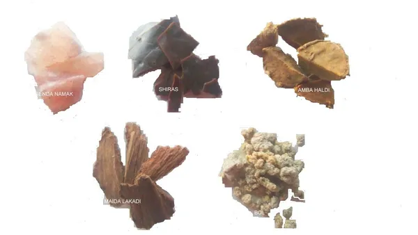 Vinarghya_–_Dardnashak_Lep/_Herbal_Dard_Vinashak_Lep/_Dard_Rahat_Lep_–_100G