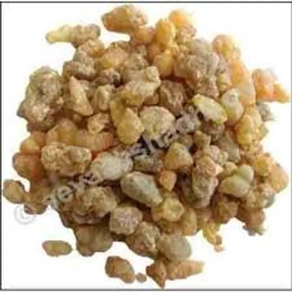 Vinarghya_–_Dardnashak_Lep/_Herbal_Dard_Vinashak_Lep/_Dard_Rahat_Lep_–_100G