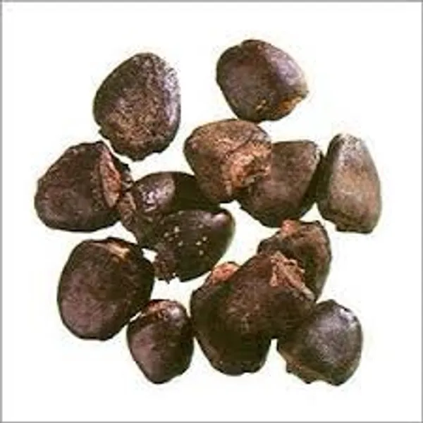Vinarghya_-_Bhilawa/_Bhilawan/_Bibba/_Cen-Cottai/_Compal/_Kalakam/_Kavaka/_Alakuceer/_Ceenkkuru/_Bhallatamu/_Geru/_Bhallata/_Bhallotaka/_Baladur/_Bhala/_भिलावा_-_100G