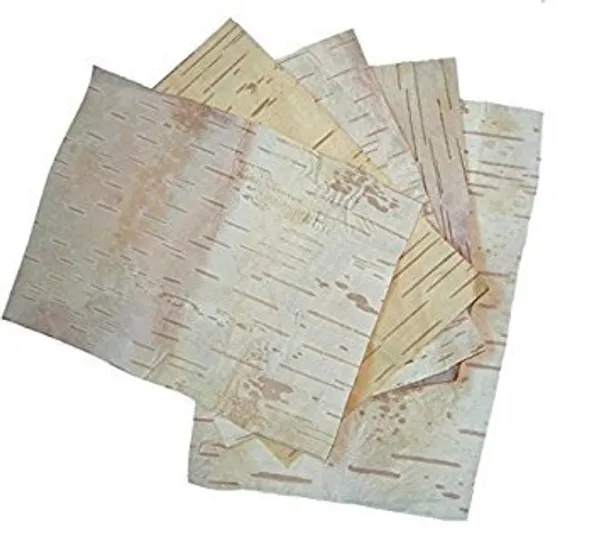 Swasti35_–_Betula_Utilis/_Bhojpatra_Leaf/_Bhurjjamaram/_Purchcham/_Bhujapatram/_Bhujaatri/_Bhuyapatra/_Bhurj/_भोजपत्र_-_5_Pcs