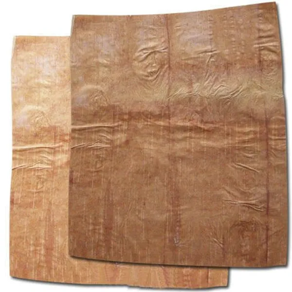 Swasti35_–_Betula_Utilis/_Bhojpatra_Leaf/_Bhurjjamaram/_Purchcham/_Bhujapatram/_Bhujaatri/_Bhuyapatra/_Bhurj/_भोजपत्र_-_5_Pcs