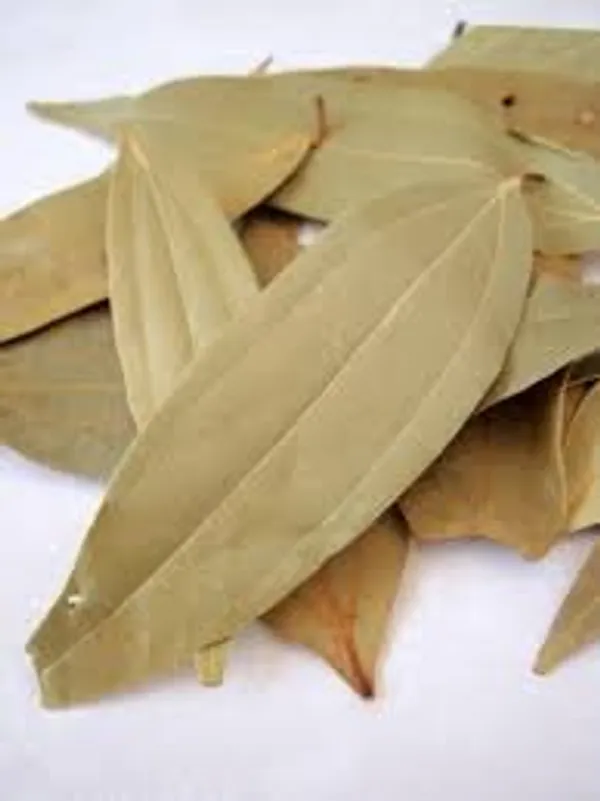 Swasti32_–_Indian_Bay_Leaves/_Tejpan/_Tejpatta/_Masala_Aku/_Patraj/_Birinji_Llai/_Karuvaela/_Paththa/_Tamal_Patr_/_तेजपान_–_100G