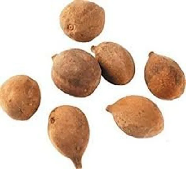 Vinarghya_–_Behera/_Organic_Behada/_Terminalia_Bellirica_Roxb/_Vibhitak/_Aksha/_Karshaphal/_Kalidrum/_Bayeda/_Vadikaya/_Tanikoodya/_Tarekapi/_Balelaj/_Talelah_–_100G