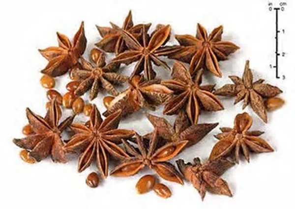 Vinarghya_-_Baza/_Baja/_Star_Anise/_Chinese_Star_Anise/_Chakri_Phool_/_चक्र_फूल_/_बाजा_–_100G