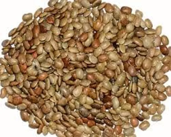Vinarghya_–_Kulathi/_Horsegram/_Cowpea/_Ulavalu/_Huruli/_Kollu/_Kulthi/_Macrotyloma_Uniflorum/_Kulathikalai/_Kolatha/_Kadthi_Ni_Dal/_Holaga_/_कुलथी_–_250G
