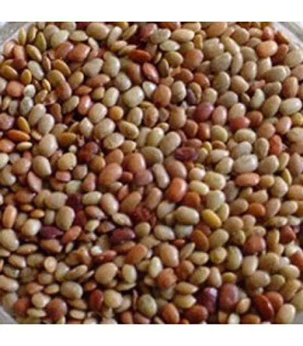 Vinarghya_–_Kulathi/_Horsegram/_Cowpea/_Ulavalu/_Huruli/_Kollu/_Kulthi/_Macrotyloma_Uniflorum/_Kulathikalai/_Kolatha/_Kadthi_Ni_Dal/_Holaga_/_कुलथी_–_250G