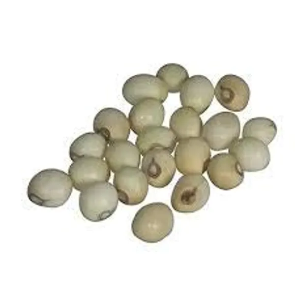 Vinarghya_-_Gunja_Safed/_White_Gunja/_Abrus_Precatorius/_White_Chirmi_/_सफ़ेद_गूंज_-_21Pcs
