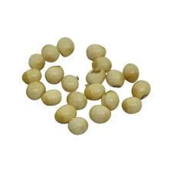 Vinarghya_-_Gunja_Safed/_White_Gunja/_Abrus_Precatorius/_White_Chirmi_/_सफ़ेद_गूंज_-_21Pcs