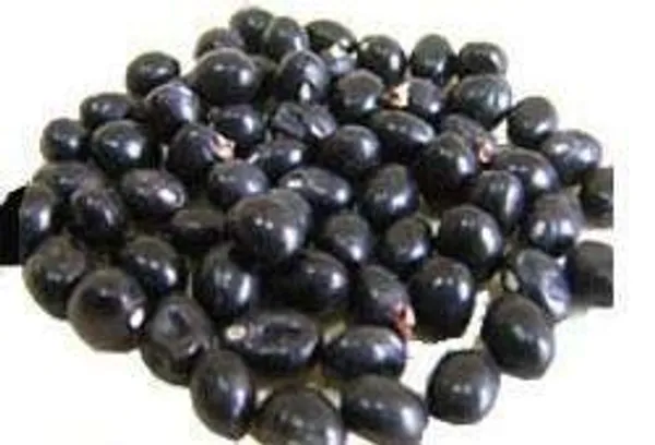 Vinarghya_-_Gunja_Kala/_Black_Gunja/_Black_Rosary_Pea/_Kali_Gumachi/_Chirmi_Beads_-_21_Pcs