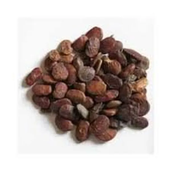 Vinarghya_–_Karanji/_Karanj/_Pongamia_Pinnata/_Um_Al_Shuur/_Bala_Seeds/_Kanji/_Biansu/_Malapari/_Dalkaramcha/_Pongam/_Jangali_Badam_/_करंजी_–_250G