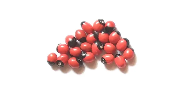 Vinarghya_Gunja_Lal_Kala_Kala_Lal_Gunja_Rakta_Gunja_Chirmi_Red_And_Black_21Pcs