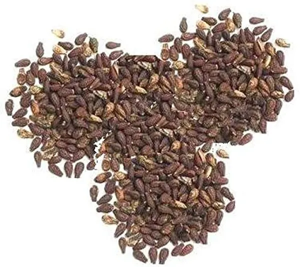 Generic_–_Shivlingi_Beej/_Bahupatra/_Chandra/_Ishwaralingi/_Mala/_Indian_Bryony/_Iyvli/_शिवलिंगी_बीज_–_50G