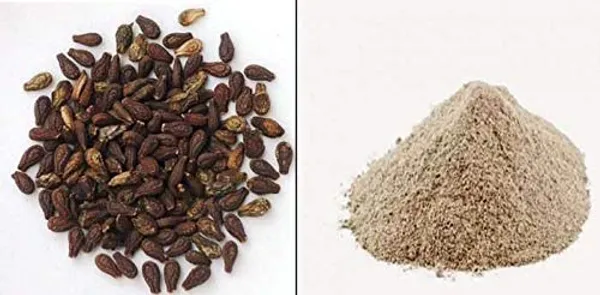 Generic_–_Shivlingi_Beej/_Bahupatra/_Chandra/_Ishwaralingi/_Mala/_Indian_Bryony/_Iyvli/_शिवलिंगी_बीज_–_50G